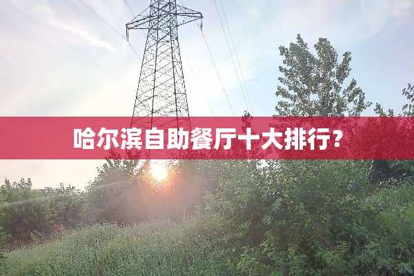 哈尔滨自助餐厅十大排行？