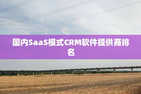 国内SaaS模式CRM软件提供商排名
