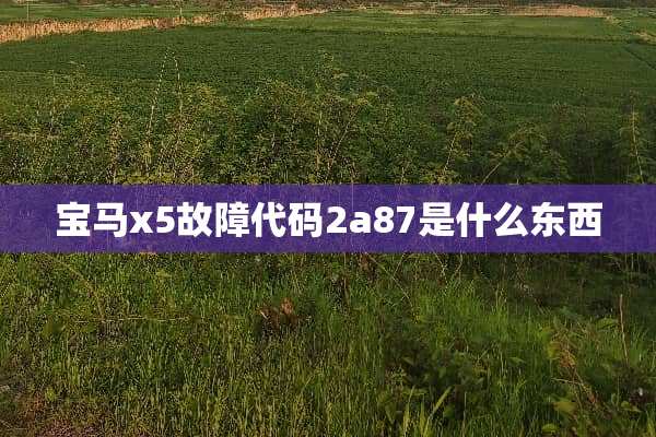 宝马x5故障代码2a87是什么东西