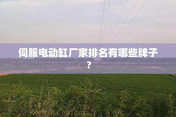 伺服电动缸厂家排名有哪些牌子？