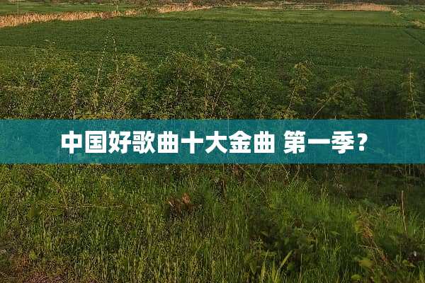 中国好歌曲十大金曲 第一季？