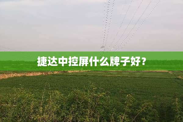 捷达中控屏什么牌子好？