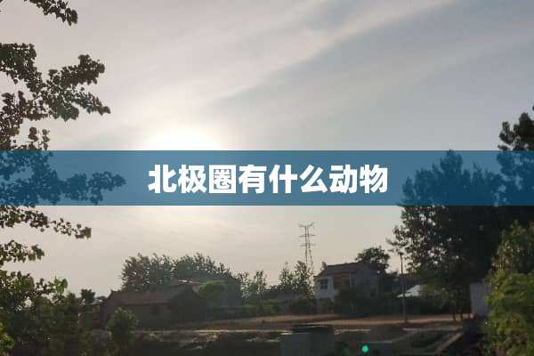 北极圈有什么动物