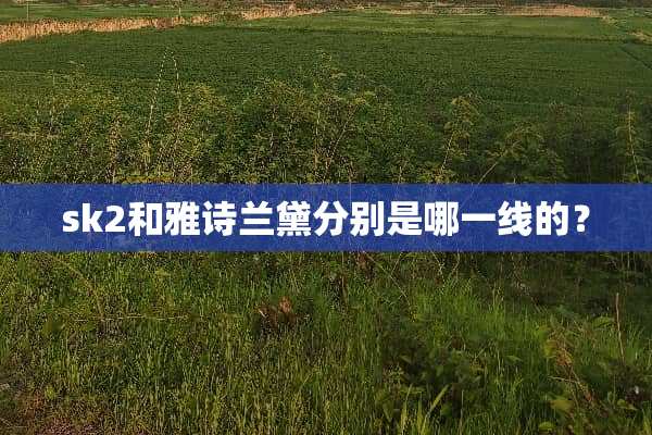 sk2和雅诗兰黛分别是哪一线的？