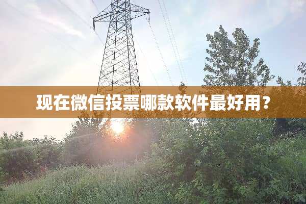 现在微信投票哪款软件最好用？