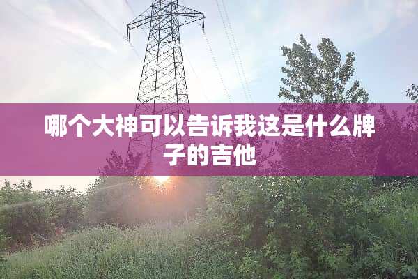 哪个大神可以告诉我这是什么牌子的吉他