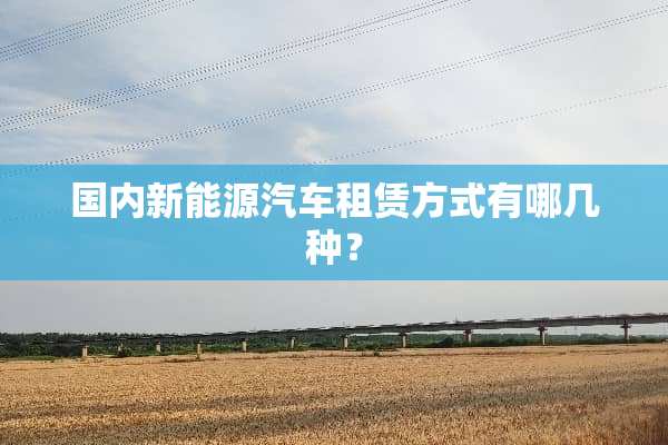 国内新能源汽车租赁方式有哪几种？