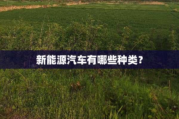 新能源汽车有哪些种类？
