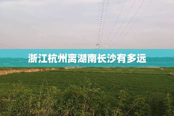 浙江杭州离湖南长沙有多远
