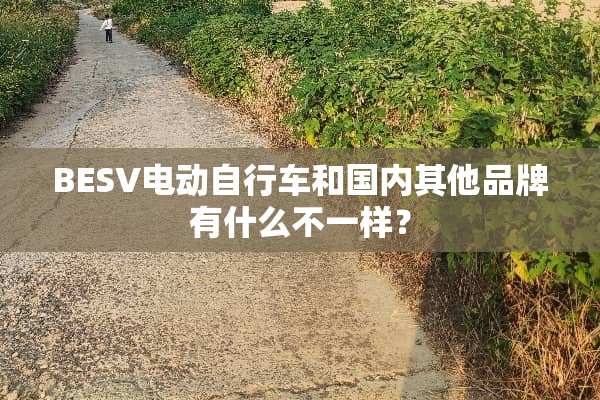 BESV电动自行车和国内其他品牌有什么不一样？