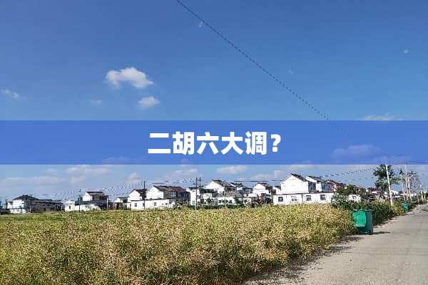 二胡六大调？