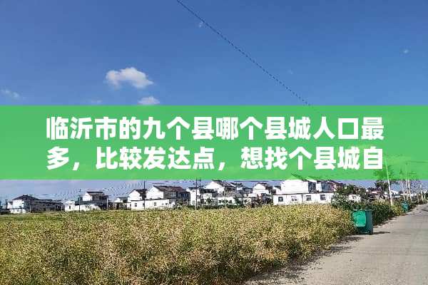 临沂市的九个县哪个县城人口最多，比较发达点，想找个县城自己开店？