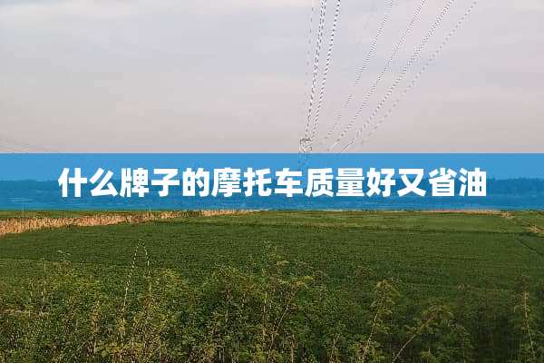 什么牌子的摩托车质量好又省油
