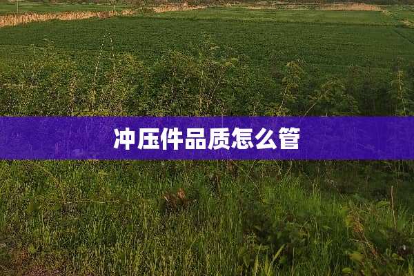 冲压件品质怎么管