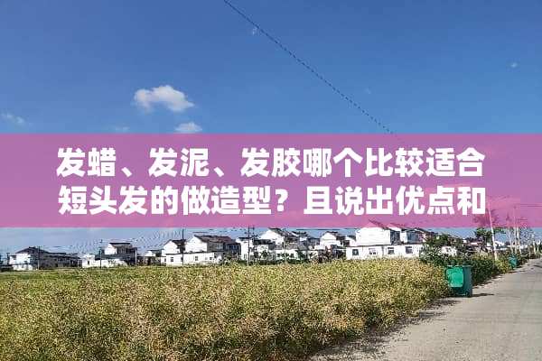发蜡、发泥、发胶哪个比较适合短头发的做造型？且说出优点和缺点？