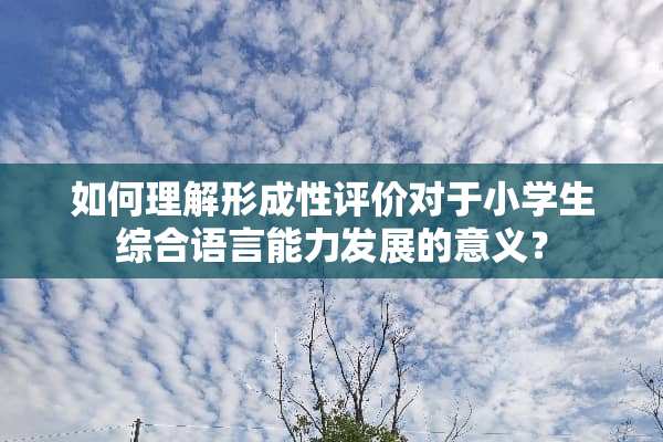 如何理解形成性评价对于小学生综合语言能力发展的意义？
