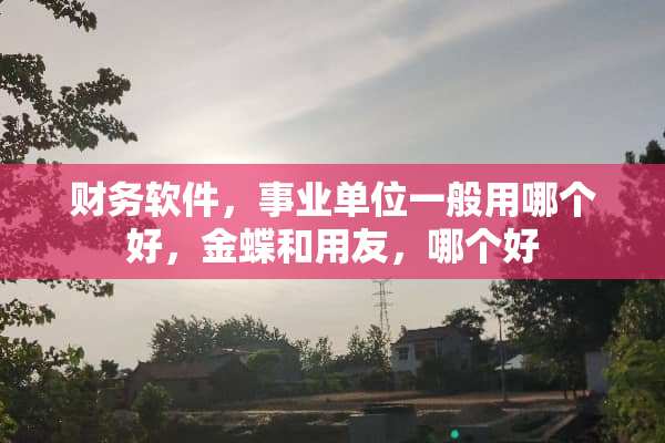 财务软件，事业单位一般用哪个好，金蝶和用友，哪个好