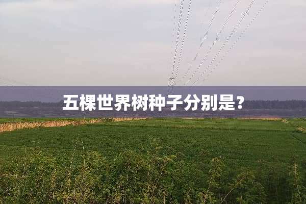 五棵世界树种子分别是？