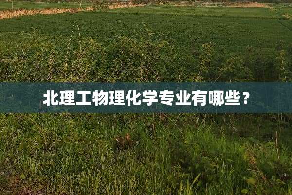 北理工物理化学专业有哪些？