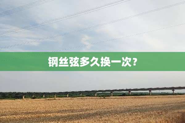 钢丝弦多久换一次？