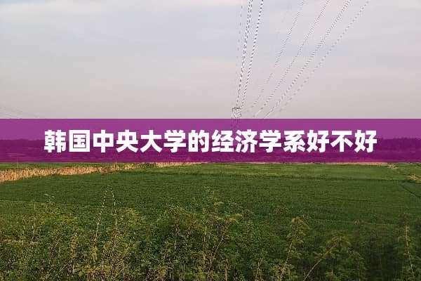 韩国**大学的经济学系好不好