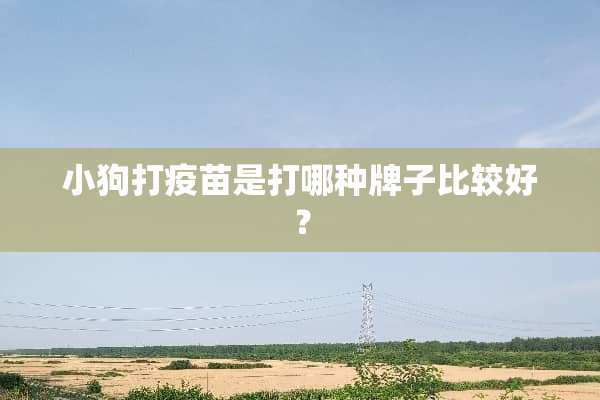 小狗打**是打哪种牌子比较好？