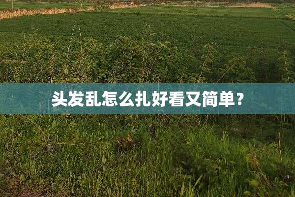 头发乱怎么扎好看又简单？