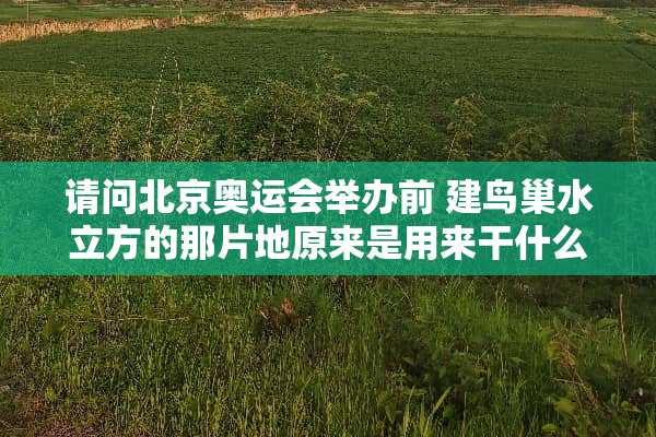 请问北京奥运会举办前 建**水立方的那片地原来是用来干什么的？