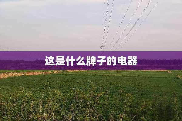 这是什么牌子的电器