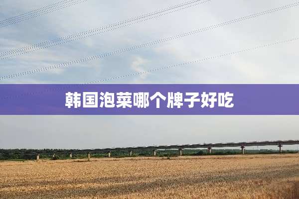 韩国泡菜哪个牌子好吃