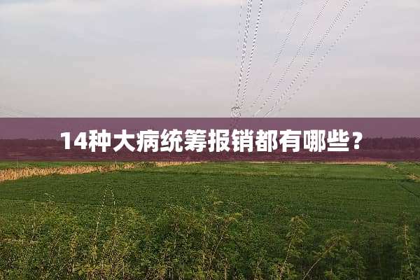 14种大病统筹报销都有哪些？