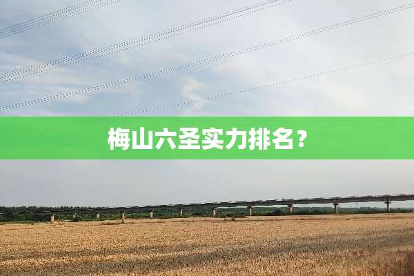 梅山六圣实力排名？