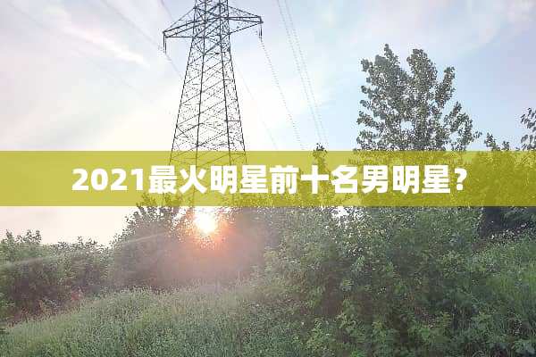 2021最火明星前十名男明星？