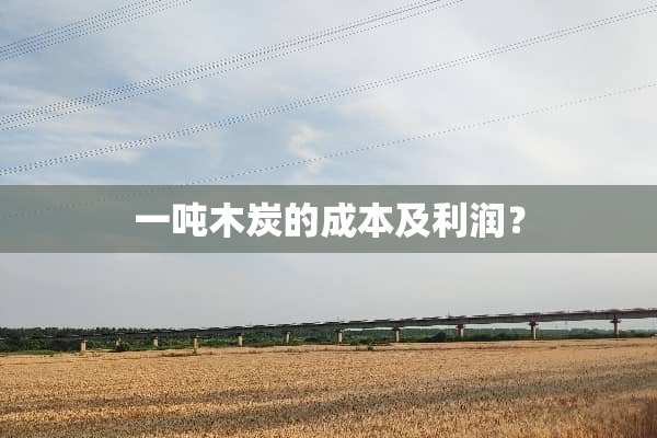 一吨木炭的成本及利润？