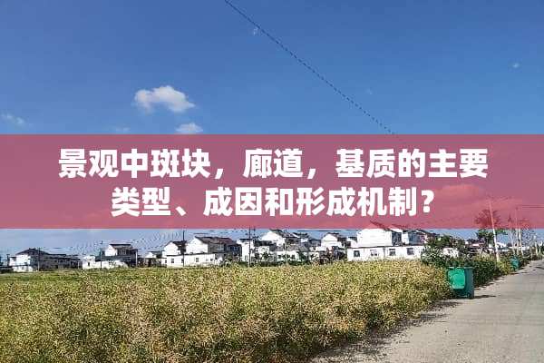 景观中斑块，廊道，基质的主要类型、成因和形成机制？