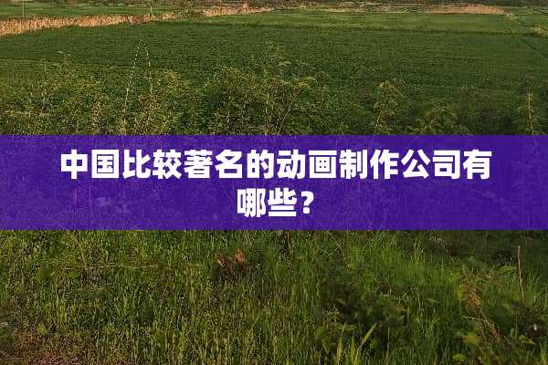中国比较著名的动画制作公司有哪些？