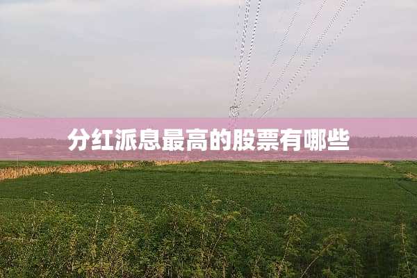 分红派息最高的股票有哪些