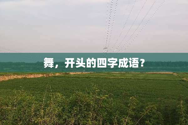 舞，开头的四字成语？