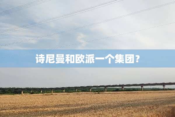诗尼曼和欧派一个集团？