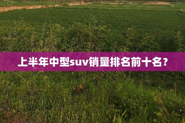 上半年中型suv销量排名前十名？