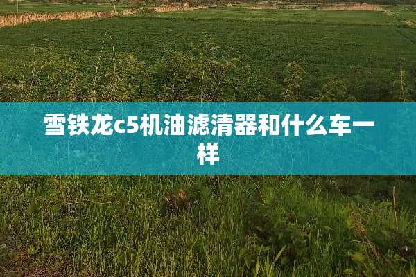 雪铁龙c5机油滤清器和什么车一样
