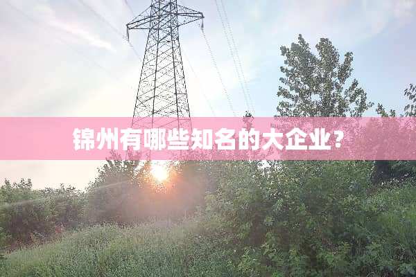 锦州有哪些知名的大企业？