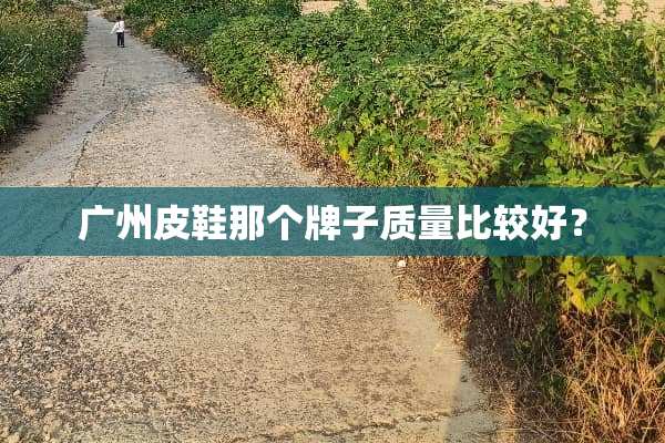 广州皮鞋那个牌子质量比较好？