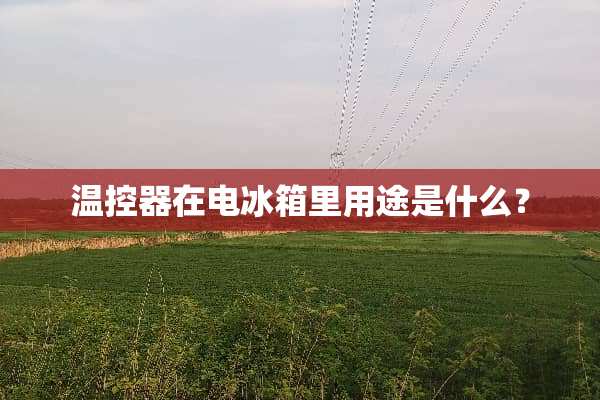 温控器在电冰箱里用途是什么？