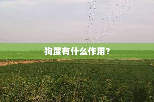 狗屎有什么作用？