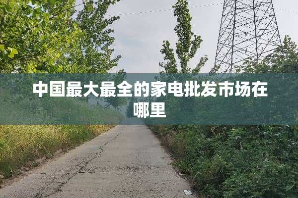 中国最大最全的家电批发市场在哪里