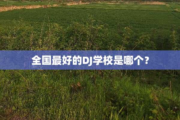 全国最好的DJ学校是哪个？
