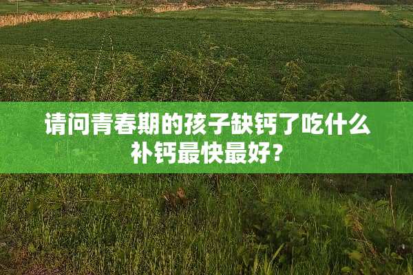 请问青春期的孩子缺钙了吃什么补钙最快最好？