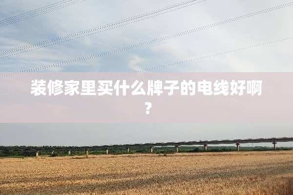 装修家里买什么牌子的电线好啊？