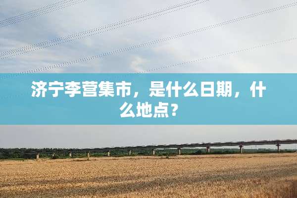 济宁李营集市，是什么日期，什么地点？